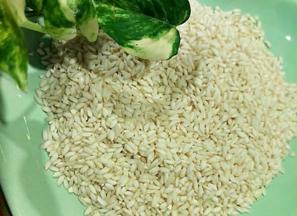 تصویر 5 از فروش برنج عنبربو خوزستان + قیمت خرید به صرفه